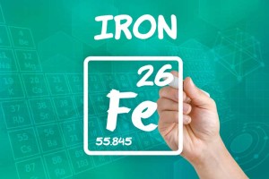 The Link Between Infant Brain Development and Maternal Iron Intake 1