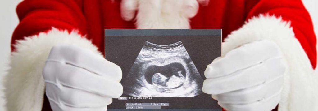 Holiday Pregnancy Announcement Ideas 9