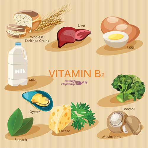 The Power of B Vitamins in Prenatal Nutrition