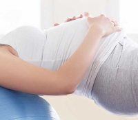 Pregnancy Training Basics 3