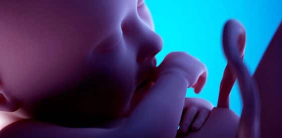 Melatonin for Placenta Health and Fetal Growth Restriction