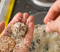 Pregnancy-Safe Peanut Butter Energy Balls