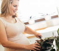 The Importance of Iron Intake During Pregnancy 