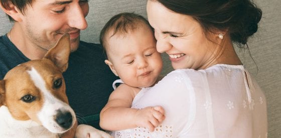 Building a Family; Introducing New Baby to Pets  2