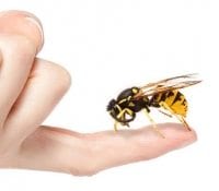 Don’t Get Stung by the Buzzwords! 2