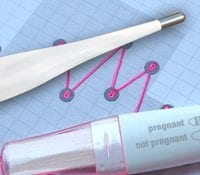 How to Use a Basal Thermometer to Get Pregnant! 2