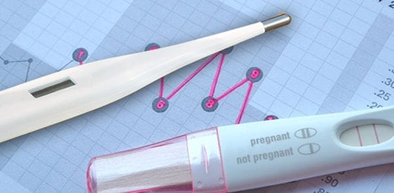 How to Use a Basal Thermometer to Get Pregnant! 2