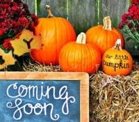 12 Fun Autumn Gender and Pregnancy Reveal Ideas 2