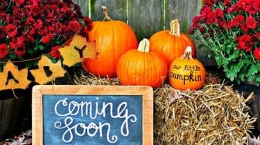 12 Fun Autumn Gender and Pregnancy Reveal Ideas 2