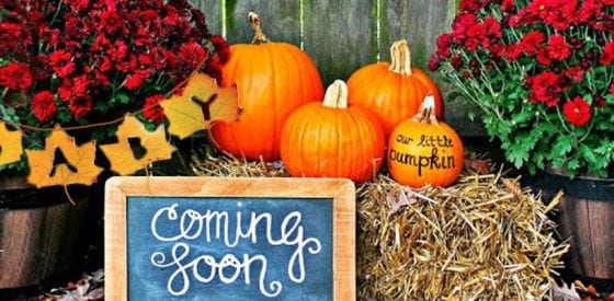 12 Fun Autumn Gender and Pregnancy Reveal Ideas 2
