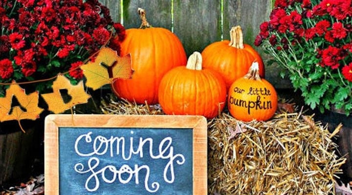 12 Fun Autumn Gender and Pregnancy Reveal Ideas 2