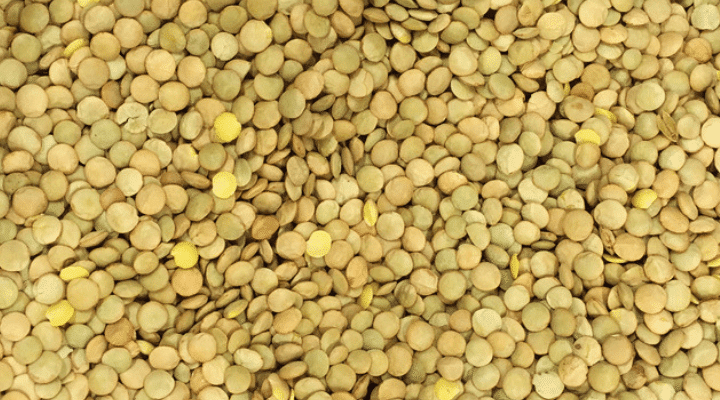 Lentils During Pregnancy—A Guide to Benefits and Recipes 2