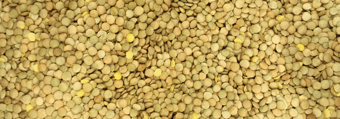 Lentils During Pregnancy—A Guide to Benefits and Recipes 2