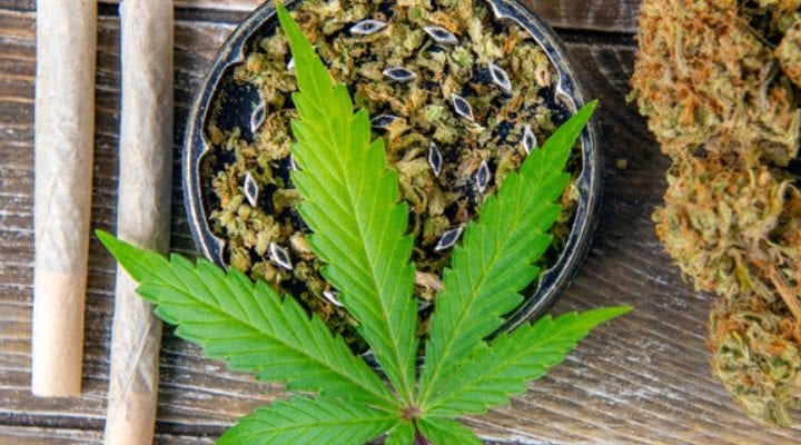Cannabis and Pregnancy: Why You Should Just Say “No”