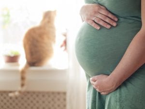 Pets and Your Pregnancy: Everything You Want to Know 1