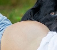 Pets and Your Pregnancy: Everything You Want to Know