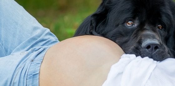 Pets and Your Pregnancy: Everything You Want to Know