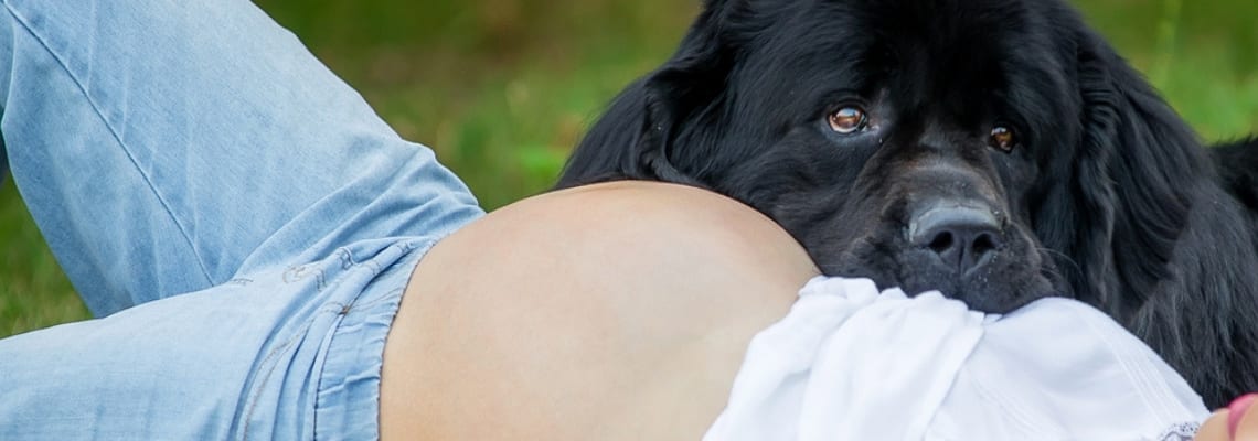 Pets and Your Pregnancy: Everything You Want to Know