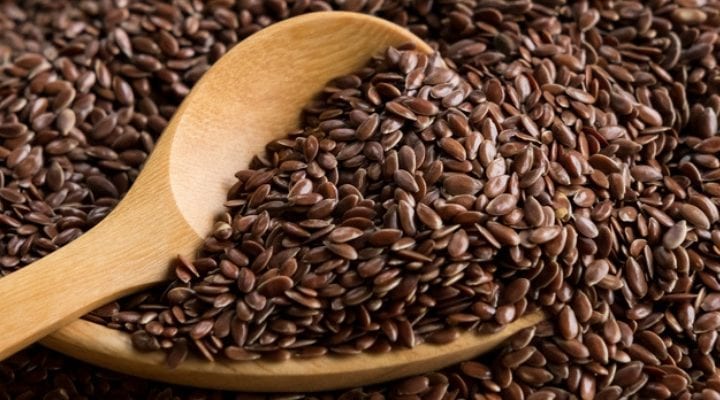 Impact of Maternal Flaxseed During Pregnancy