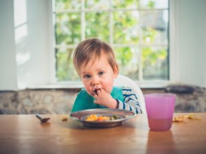  A Complete Look into Baby Led Weaning
