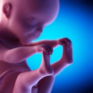 Fetal Psychology: What Science Says Your Baby Is Doing 1