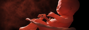 Fetal Psychology: What Science Says Your Baby Is Doing