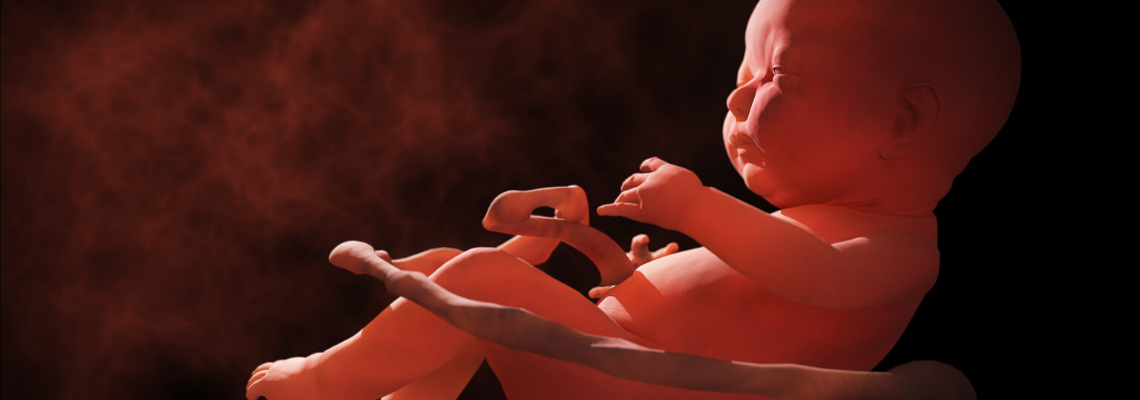 Fetal Psychology: What Science Says Your Baby Is Doing