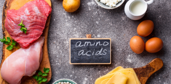 The Importance of Amino Acids During Pregnancy