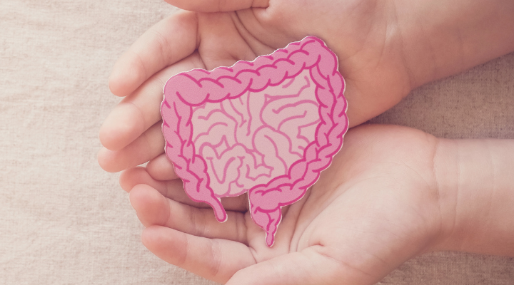 How to Ensure Proper Gut Health During Pregnancy