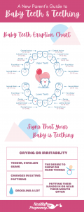 A Complete Guide to Baby Teeth and Teething 1