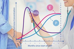 Does Progesterone Help Prevent Miscarriages?