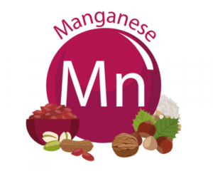 Manganese During Pregnancy