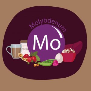 Understanding Proper Molybdenum Intake During Pregnancy