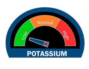 Potassium Benefits During Pregnancy