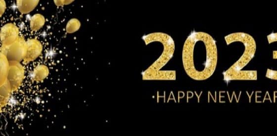 Tips for a Successful New Year's Eve During Pregnancy