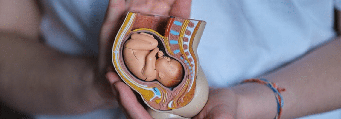 Genes Controlled by the Father can Manipulate the Mother's Resources to Benefit the Fetuses