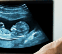 How Nicotine Harms the Embryo