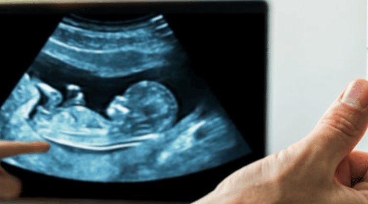 How Nicotine Harms the Embryo
