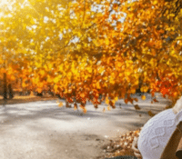 Must-Haves for an Autumn Pregnancy: Well Prepared for the Golden Season