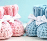 How Does the Baby's Sex Develop During Pregnancy?