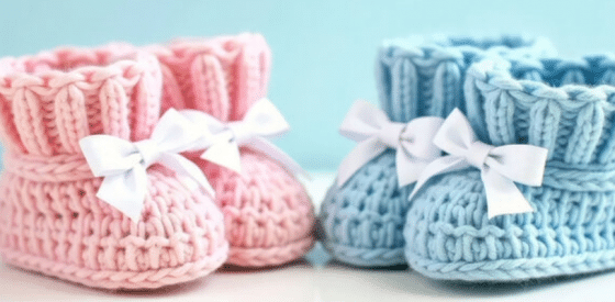 How Does the Baby's Sex Develop During Pregnancy?