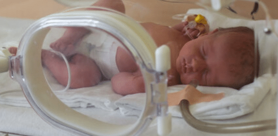 Gene Therapy Fixes Main Cause of Stillbirths and Premature Births in Guinea Pig Model