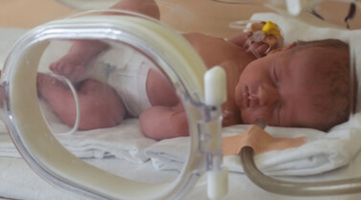 Gene Therapy Fixes Main Cause of Stillbirths and Premature Births in Guinea Pig Model