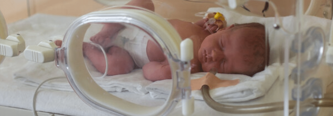 Gene Therapy Fixes Main Cause of Stillbirths and Premature Births in Guinea Pig Model